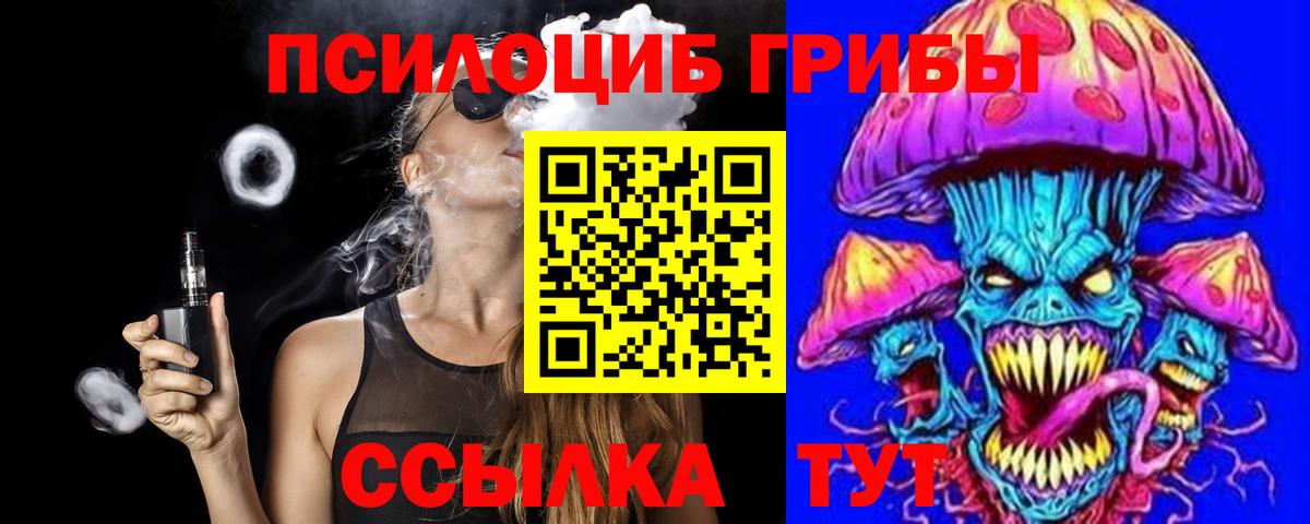 Сегежа  наркота  Вход с VPN  Галлюциногенные грибы мицелий 